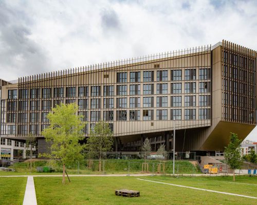 Cour école campus Aubervilliers