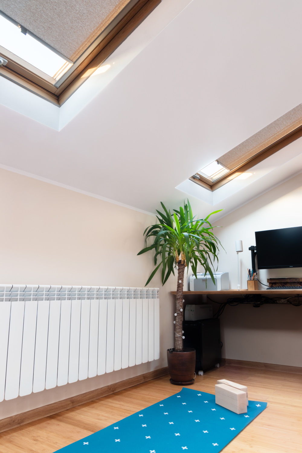 Store sur-mesure Velux toile Paris