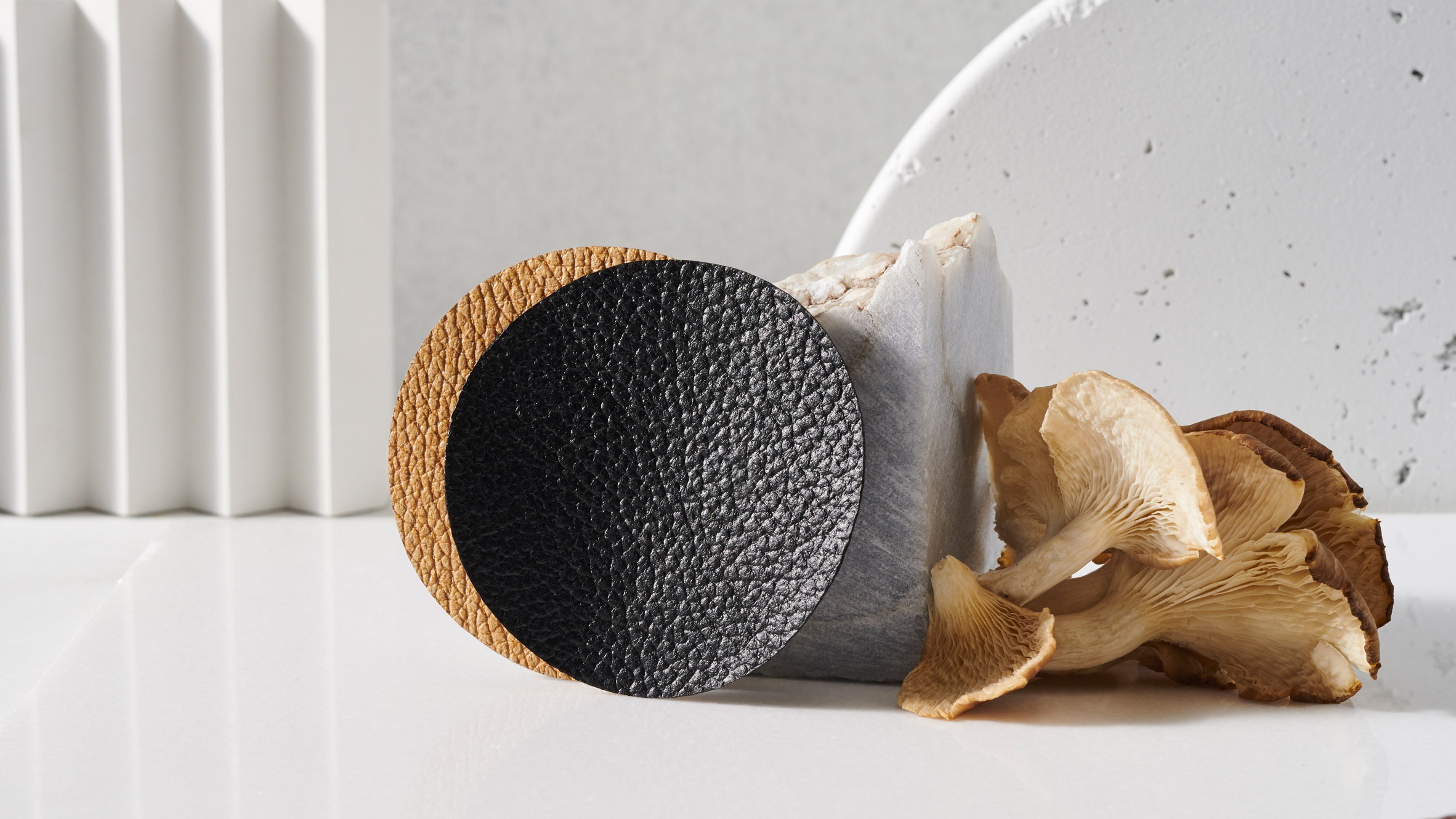 Les champignons, l’avenir du textile éco-responsable ?